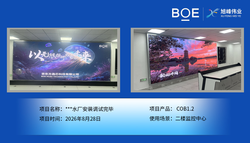 鄂州***水厂安装调试完毕