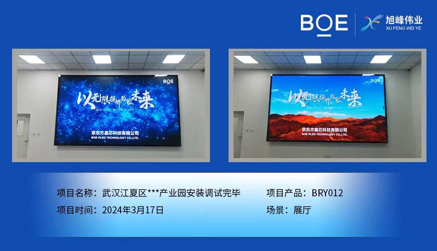 荆门武汉江夏区**产业园展厅BRY012安装调试完毕