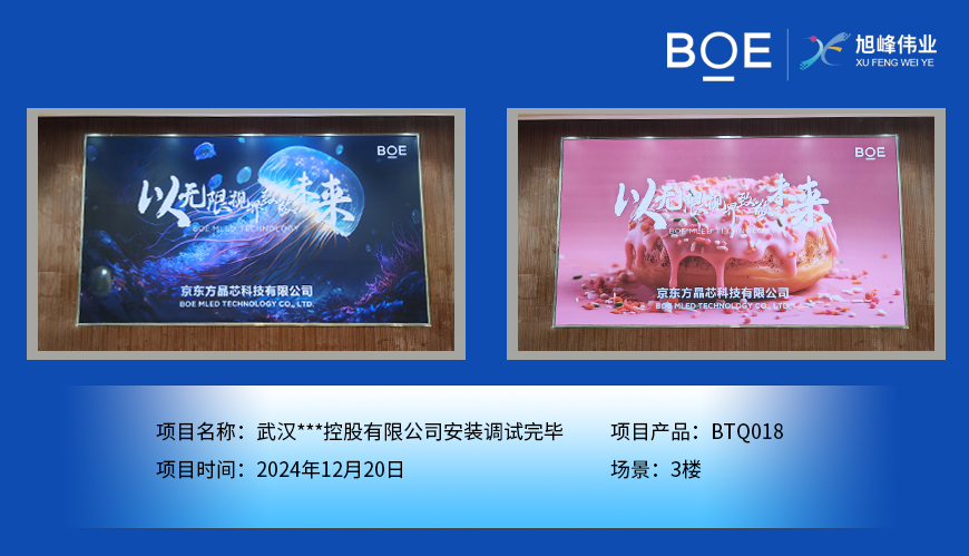 武汉***控股有限公司安装调试完毕